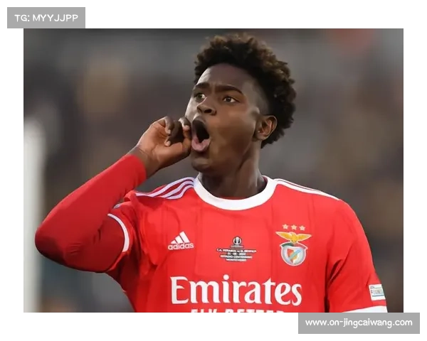 布莱顿1-1桑德兰，长传战术克制流畅传导